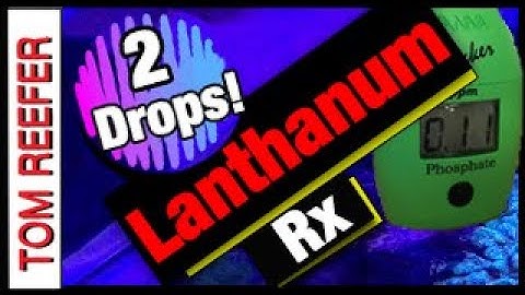 Reef Tank Parameters LANTHANUM CHLORIDE ! will REMOVE PHOSPHATE! Nano Reef