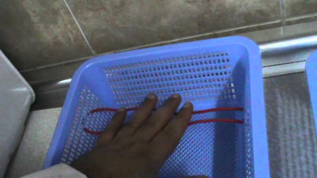 صناعة فقاسة بيض بمواد بسيطة داخل المنزل