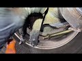 Trailer brake chamber replace #meritor #hendrickson