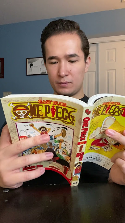 The Journey Begins! (One Piece Volume 1) #onepiece