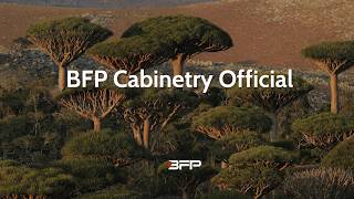Welcome to BFP -Your Highly Capable Partner in Cabinetry Solutions