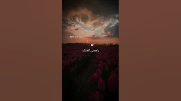 ياروح اخيتك ياكمر زماني ياعباس ياحسين 