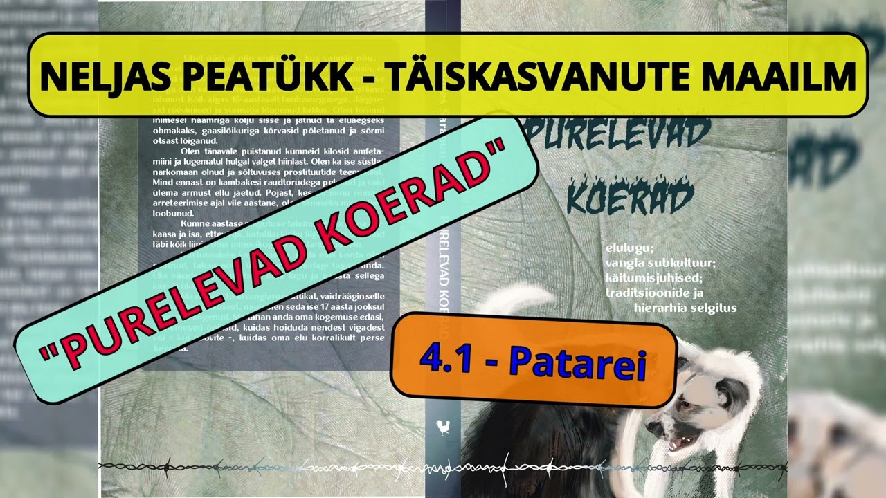 4.1 - Patarei - Audioraamat