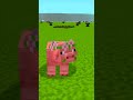 Pig Name Tag Tricks (Actions &amp; Stuff) #shorts #minecraft