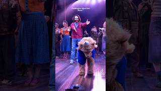 Paddington is so cute😭 #paddington #westend #paddingtonbear #musicaltheatre #theatre #musicals