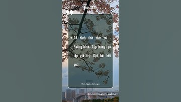 #175 Triết Lý Giáo Dục Tận Gốc #thauhieunoitamkientaoanvui #baihoccuocsong #wit #cauchuyennoitam