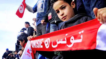 O que estabelece a Declaração e Programa de Ação de Viena em 1993 sobre os direitos humanos?