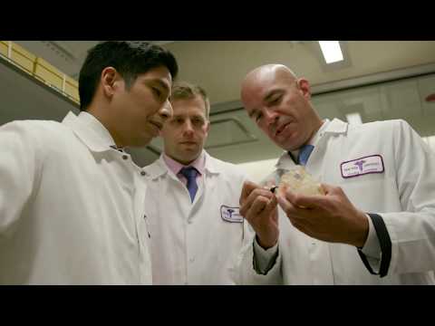 Biomaterials at NYU Dentistry