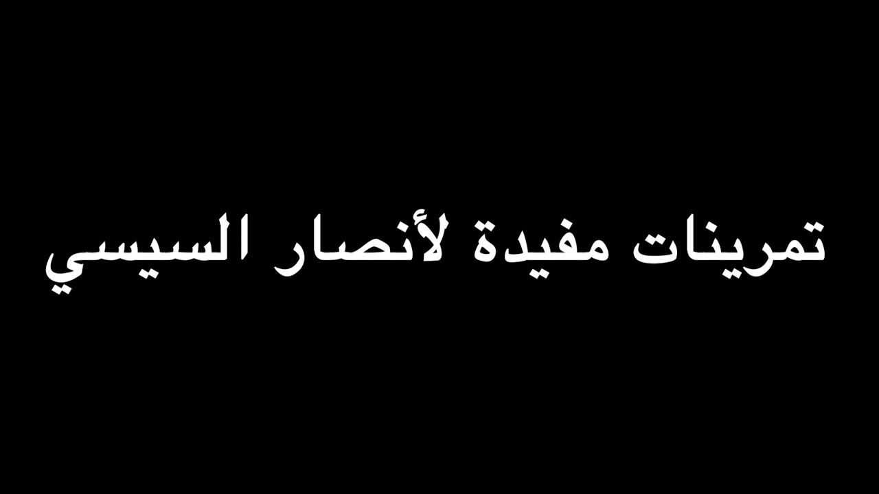 تمرينات مفيدة لأنصار السيسي | ندوة د. علاء الأسواني