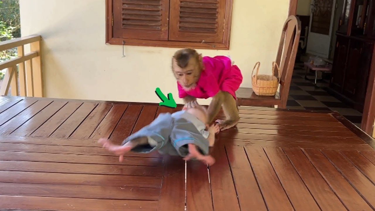 Naughty PoPo Pull's Head Pavpav Fall To Table So Hardddd