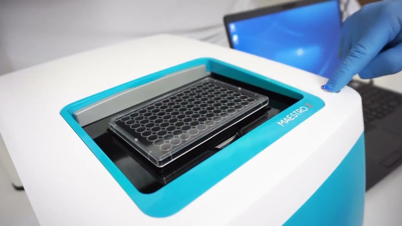 Getting started with Axion Biosystems Maestro Z cell analysis