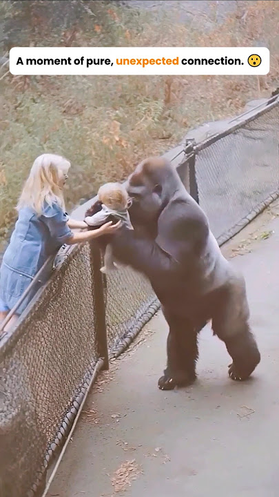 Try Not to Cry Watching This 😭