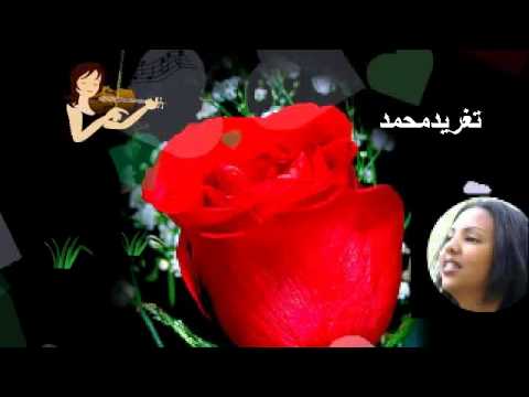 زيدان ابرهيم ليه كل العذاب تغريد محمد