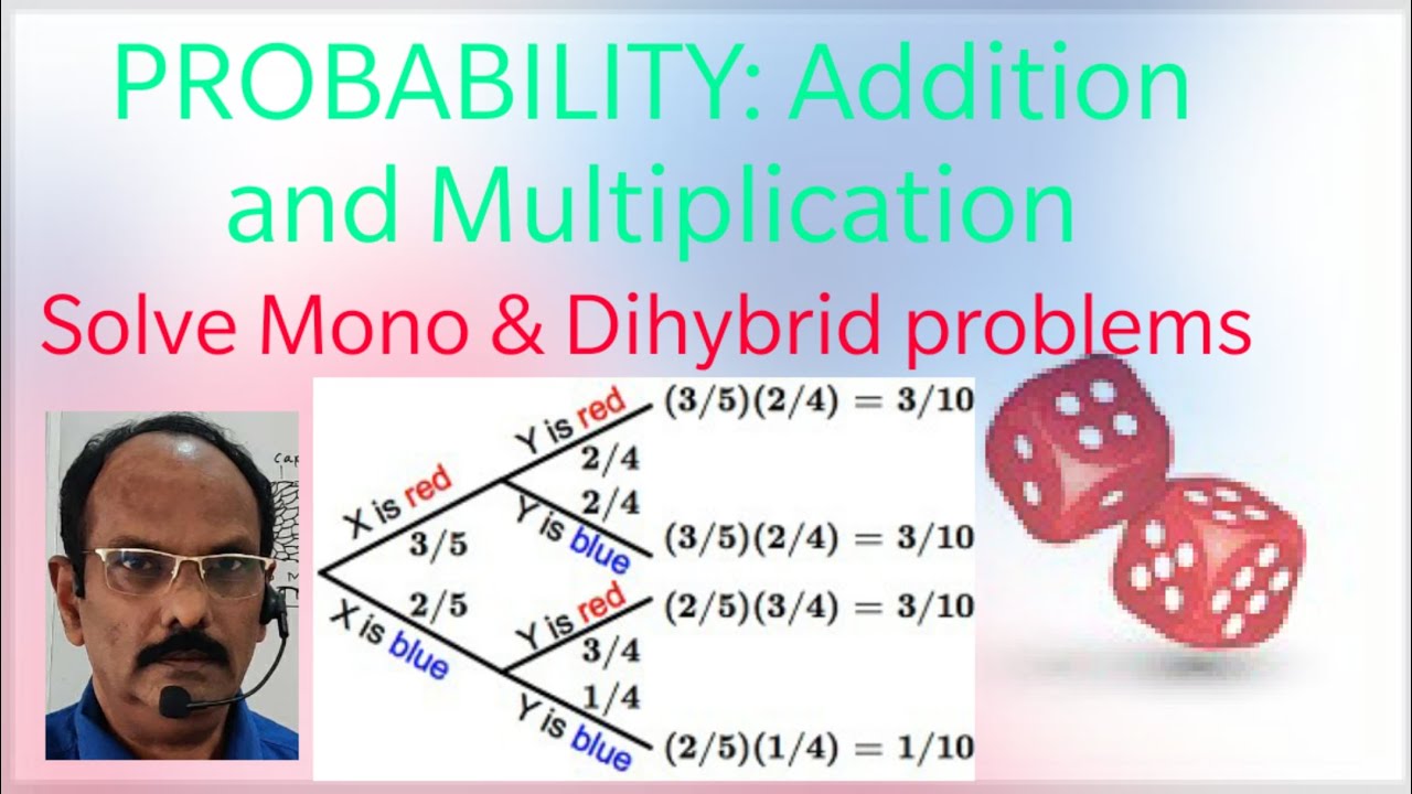 probability-adition-and-multiplication-for-genetics-problems-youtube