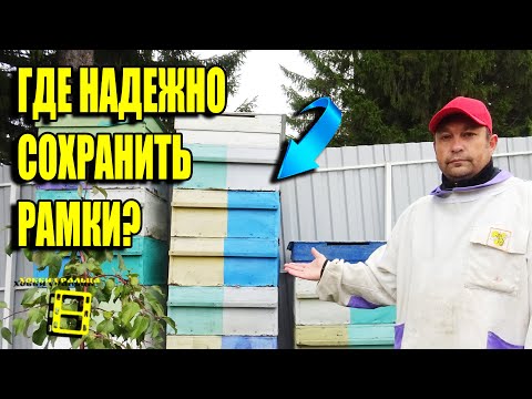 ХРАНЕНИЕ ПЧЕЛИНЫХ РАМОК С СУШЬЮ, РАМОК С МЕДОМ И РАМОК С ПЕРГОЙ ДЛЯ НАЧИНАЮЩИХ ПЧЕЛОВОДОВ 27-21