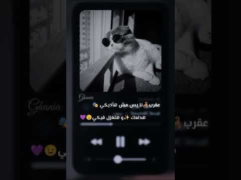 حالات واتس اب حب راب عقرب انا بس مش هأذيكي