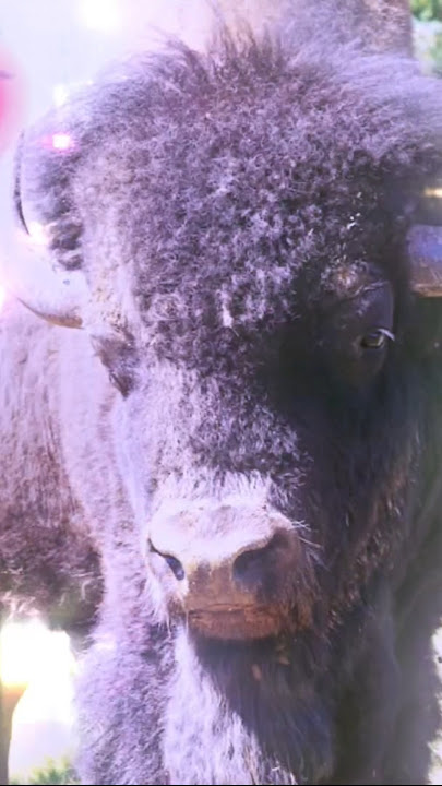 Jai Jai Dharti Mata | Bharat Mata Ki Jai | High DJ Bhakti Song 2025 @POWBD #hindi #bajan #dj #music