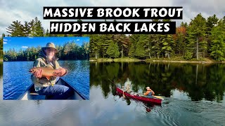 Massive Brook Trout on Hidden Lakes | One Hour Special Doc