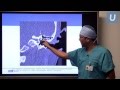 New Treatment for Superior Semicircular Canal Dehiscence - Isaac Yang, MD | UCLAMDChat