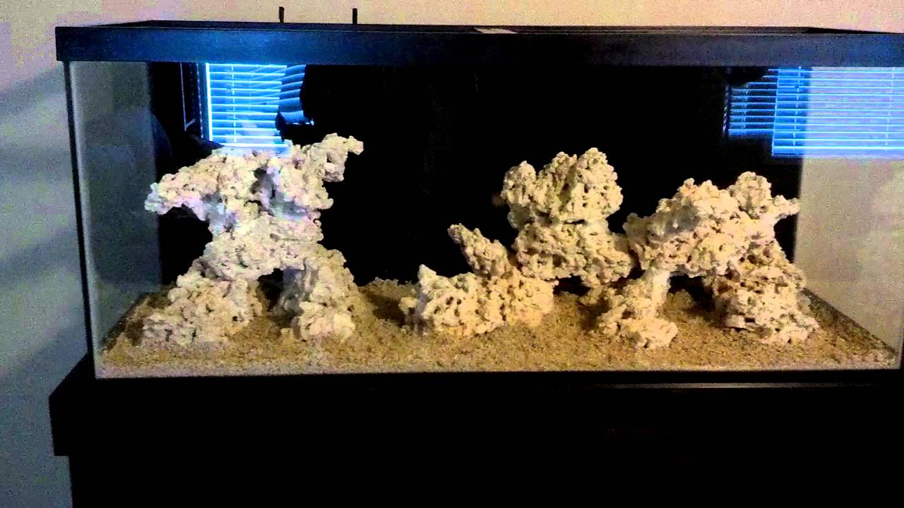 75 Gallon Reef Tank Aquascape YouTube
