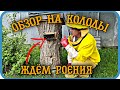 ОБЗОР НА МОИ КОЛОДЫ. ЖДЁМ ВЫХОДА РОЁВ. ДАЛЬНЕЙШИЕ ПЛАНЫ⬇️⬇️⬇️