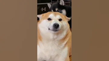So Sexy George Michael Careless Whisper 