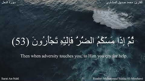 ومابكم من نعمة فمن الله (النحل 53-55) القارئ محمد صديق المنشاوي #دقيقة_لقرآنك