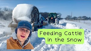 Feeding Cows In The Polar Vortex Part 1 The Blizzard