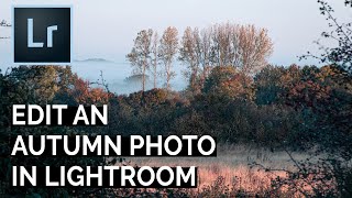 How to Edit an Autumn Photo in Lightroom | Tutorial Tuesday screenshot 5