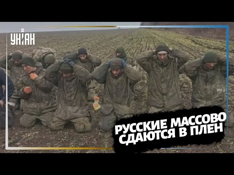 Русские Солдаты Массово Сдаются В Плен Под Николаевом