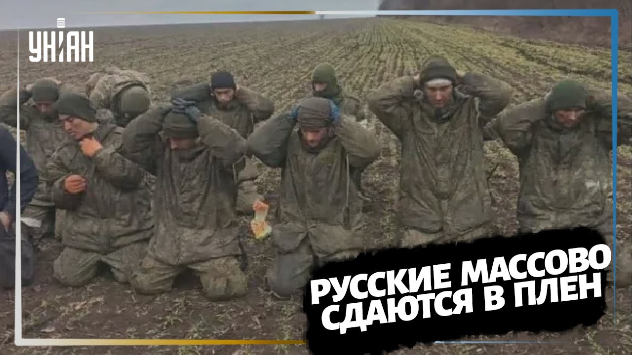 Массово сдаются в плен. Массово сдаются в плен. Массово сдаются в плен. Пленные морпехи всу в мариуполе. Массово сдаются в плен.