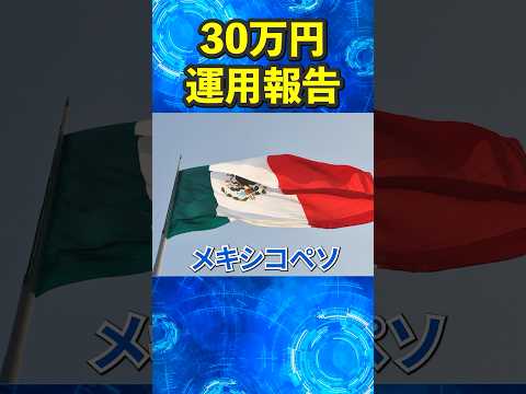 【PR】メキシコペソで30万円を9ヵ月間FXトレードしたら２倍になった件