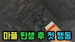 마플의 첫 행동(마인크래프트 : 마플 히스토리)