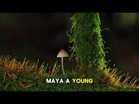 Kenangan Yang Telah Sirna | Drama 2025 | Story Explained \u0026 Review*