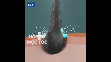 Viên uống biotin ngăn rụng tóc DHC Sustained Release Biotin - Olakamy