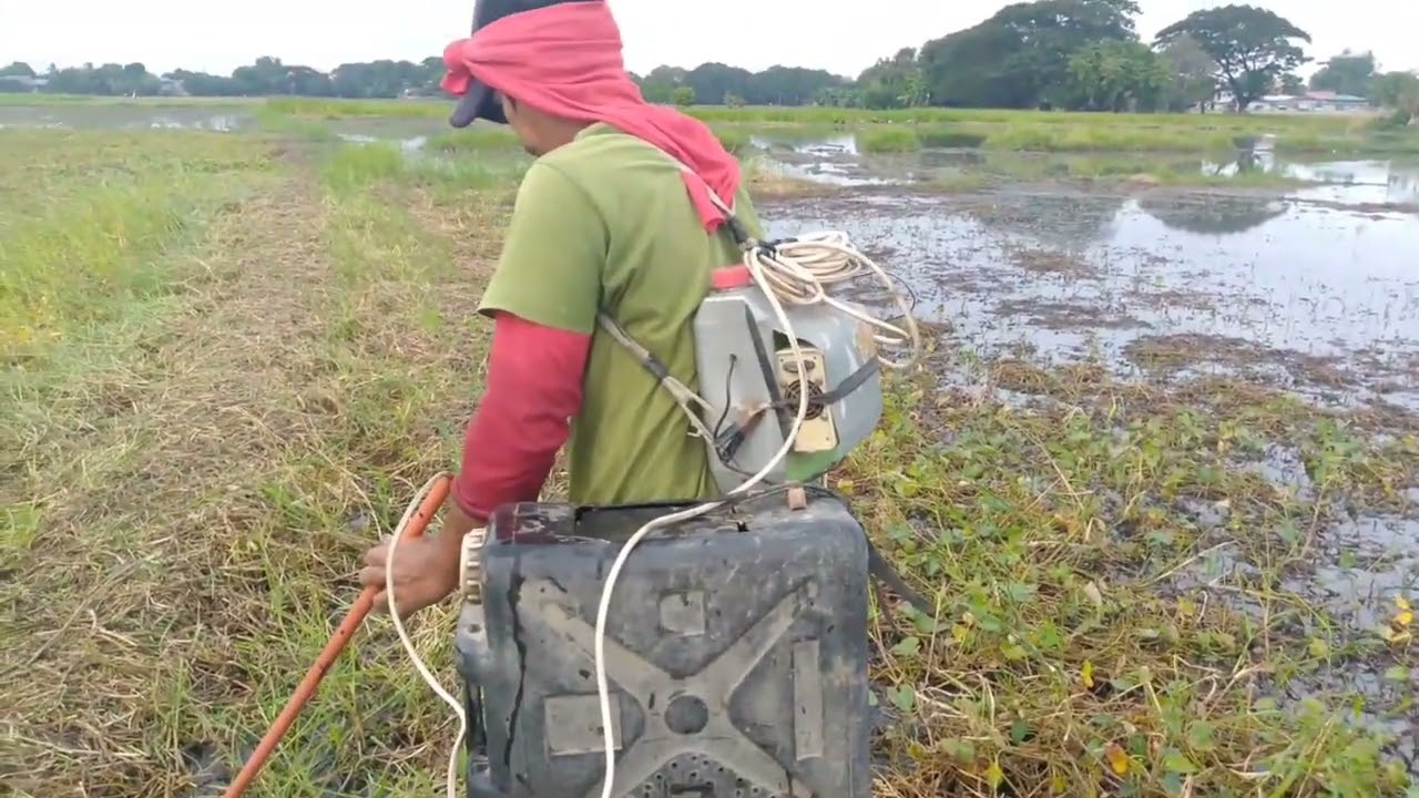 EP,55 electric fishing nakakagulat kapirasong patubig lang ang daming dalag🐟🌾