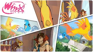 Winx Club - Buddy The Parrot Complete Story