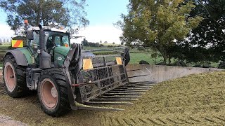 Buying More Maize Silage & A Cow Has Picked Up A Bad Habit!