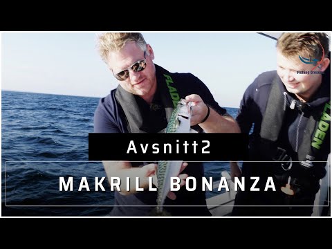 Video: Hur Man Gör Kryddad Saltad Makrill