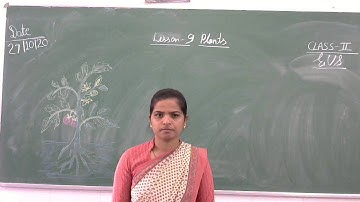 Class-2/EVS/Chapter-9/Plants