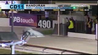 Mandurah-18122015-Race-11