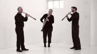 Beethoven op 87 Menuetto & Trio played by the Lonarc Oboe Trio
