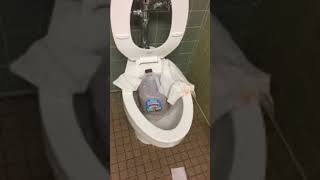 School Bathrooms Be Like Wealth
