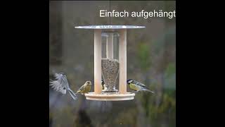 Allerlei Vogel-Futterstellen