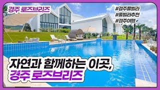[경주 로즈브리즈] 인피니티풀 풀빌라추천 펜션추천 경주펜션 경주풀빌라 경주여행 스테이라이브