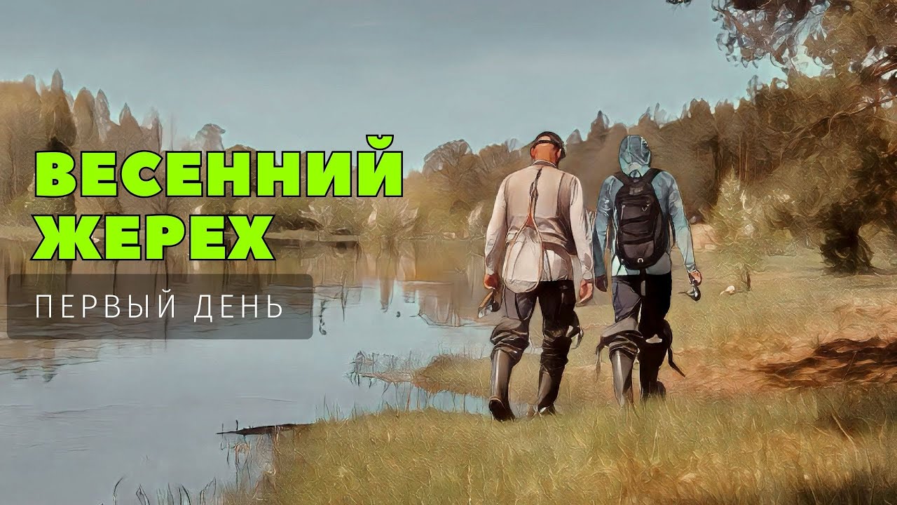 ДЕНЬ ПЕРВЫЙ / ЖЕРЕХ ВЕСНОЙ