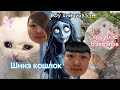 Daiso-c юм авав🎀 Кошлок чимэглэв👛Уруулын филлер гэртээ😱