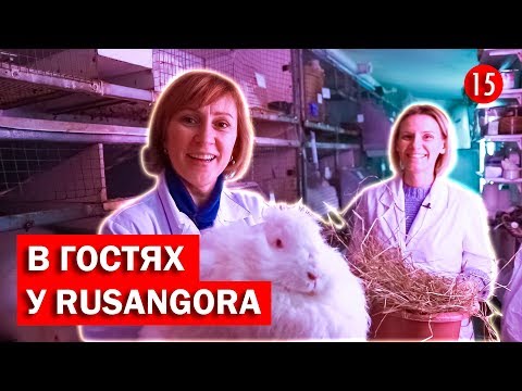 Выпуск #15. RUSANGORA - разведение ангорских кроликов, производство пряжи.