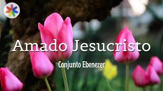 Video thumbnail of "Conjunto Ebenezer - Amado Jesucristo."