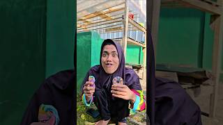 Semua Ajah Di Ambil short